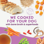Health Extension Gently Cooked Chicken And Pumpkin Recipe Wet Dog Food, photo 10