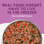 Health Extension Gently Cooked Grain Free Duck & Kale Recipe Wet Dog Food, photo 7