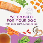 Health Extension Gently Cooked Grain Free Salmon Recipe Wet Dog Food, photo 8