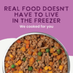 Health Extension Gently Cooked Grain Free Salmon Recipe Wet Dog Food, photo 6