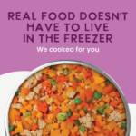 Health Extension Gently Cooked Grain Free Vegetarian Recipe Wet Dog Food, photo 8