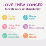 Health Extension Gently Air Dried Superfoods Beef Recipe Dry Dog Food, photo 9