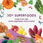 Health Extension Gently Air Dried Superfoods Salmon Recipe Dry Dog Food, photo 8