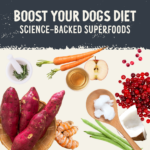 Health Extension Freeze Dried Raw Beef Recipe Dog Food Topper, photo 6