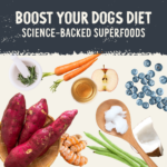 Health Extension Freeze Dried Raw Salmon Recipe Dog Food Topper, photo 6