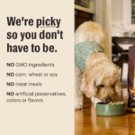 The Honest Kitchen Protein Plus Grain Free Chicken with Superfoods Dog Food Topper, photo 4