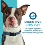 Fromm Gold Nutritionals Digestive Support Low Fat Pâté Complete Wet Dog Food, photo 4