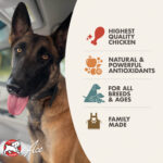 Fromm Four-Star Diner Classics Paula’s Chicken & Pumpkin Pâté Wet Dog Food, photo 3
