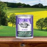 Fromm Classic Adult Turkey & Rice Pâté Wet Dog Food, photo 2
