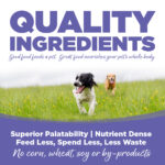 NutriSource Chicken & Rice Small & Medium Breed Puppy Wet Dog Food, photo 4