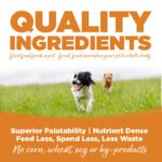 NutriSource Lamb & Rice Wet Dog Food, photo 3
