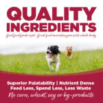 NutriSource Chicken, Lamb & Ocean Fish Wet Dog Food, photo 3