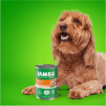 Iams Adult Chicken Chunks IN Gravy Wet Dog Food, photo 5