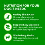 Iams Proactive Health Senior With Slow Cooked Chicken AND Rice Classic Ground Wet Dog Food, photo 4