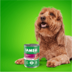 Iams Adult Beef Chunks IN Gravy Wet Dog Food, photo 3