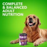 Iams Proactive Health Senior With Slow Cooked Chicken AND Rice Classic Ground Wet Dog Food, photo 5