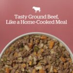 Now Fresh All Ages Breeds Beef & Rice Ground with Grains Wet Dog Food, photo 4