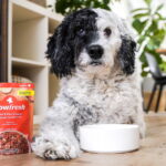Now Fresh All Ages Breeds Beef & Rice Ground with Grains Wet Dog Food, photo 2