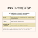 Now Fresh All Ages Breeds Beef & Rice Ground with Grains Wet Dog Food, photo 6
