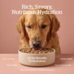 Now Fresh Good Gravy Beef & Lamb Grain-Free Wet Dog Food, photo 4