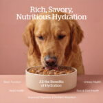 Now Fresh Good Gravy Chicken with Grains Wet Dog Food, photo 5
