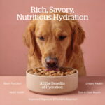 Now Fresh Good Gravy Chicken & Salmon Minced Wet Dog Food, photo 5