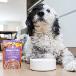 Now Fresh Chicken & Salmon Pâté Food for Senior Dogs Wet Dog Food, photo 2