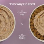 Now Fresh Chicken & Salmon Pâté Food for Senior Dogs Wet Dog Food, photo 5