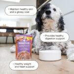 Now Fresh Chicken & Salmon Pâté Food for Senior Dogs Wet Dog Food, photo 3