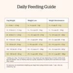 Now Fresh Good Gravy Beef Recipe For Seniors Dog Food Topper, photo 7