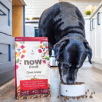 Now Fresh Good Gravy Beef Recipe For Seniors Dog Food Topper, photo 2
