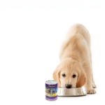 Zignature Original Food Puppy Formula Wet Dog Food, photo 3