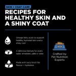 Go! Solutions Skin + Coat Care Shredded Chicken Wet Dog Food, photo 4