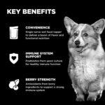 Go! Solutions Immune Health Shredded Chicken + Salmon in Bone Broth Dog Food Topper, photo 2