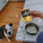 Go! Solutions Joint Care Minced Chicken with Gravy Dog Food Topper, photo 5