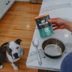 Go! Solutions Tranquility Minced Chicken with Gravy Dog Food Topper, photo 4
