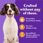 Halo Holistic Healthy Grains Chicken Recipe Adult can (case of Wet Dog Food, photo 5
