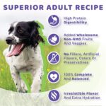 Halo Holistic Vegan Plant-Based Recipe Adult can (case of 12) Wet Dog Food, photo 4