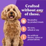 Halo Holistic Grain Free Chicken & Salmon Recipe Small Breed ca Wet Dog Food, photo 5
