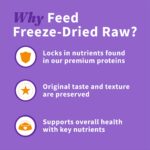Halo Holistic Freeze-Dried Raw Skin & Coat Topper Dog Food Topper, photo 5