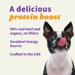 Halo Holistic Freeze-Dried Raw Beef Protein Topper Dog Food Topper, photo 5