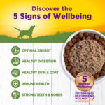 Wellness Complete Health Lamb & Sweet Potato Wet Dog Food, photo 3