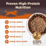 Wellness Core Turkey & Chicken Liver Wet Dog Food, photo 4