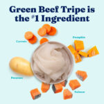 Solid Gold Green Cow Wet Dog Food, photo 4