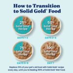 Solid Gold Mighty Mini Turkey Food for Toy & Small Dogs | Small Breed Wet Dog Food, photo 4