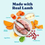 Solid Gold Mighty Mini Lamb Food for Toy & Small Dogs Wet Dog Food, photo 3