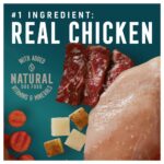 Abound Grain Free Chicken, Beef & Vegetable in Gravy Wet Dog Food, photo 2