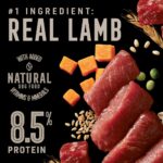 Abound Wild Beginnings Lamb & Beef Dinner Pate Wet Dog Food, photo 2