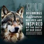 Abound Wild Beginnings Lamb & Beef Dinner Pate Wet Dog Food, photo 5