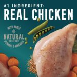 Abound Chicken, Peas & Sweet Potato in Gravy Wet Dog Food, photo 2